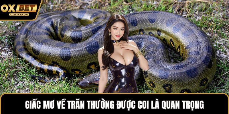 Giấc mơ về trăn thường được coi là quan trọng
