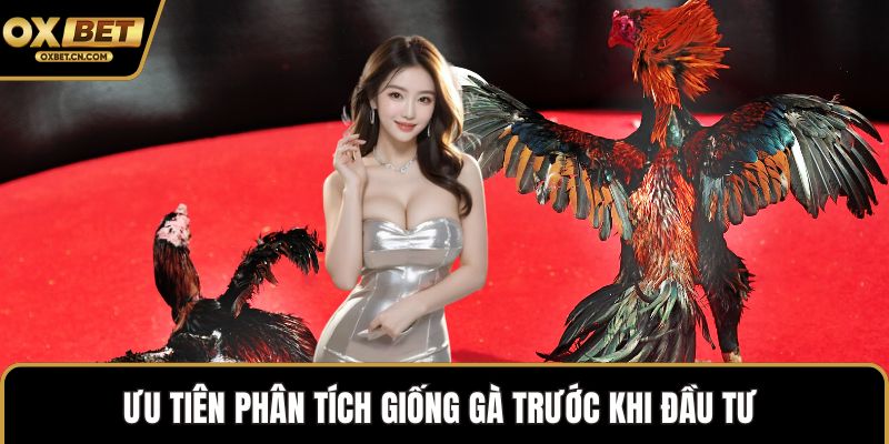 Ưu tiên phân tích giống gà trước khi đầu tư