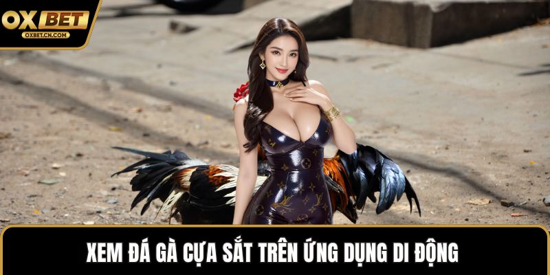 Xem đá gà cựa sắt trên ứng dụng di động